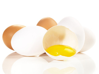Eier - weiss und braun