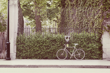 Fototapeta premium Bicycle parked on the sidewalk next to a parking meter, lamp post, and shubs along the fence. Climbing vines cling to the concrete wall of a vacant lot in Montreal, Quebec, Canada. Filter added.