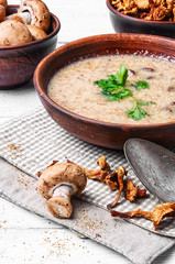 puree soup with mushrooms