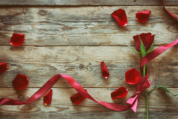 valentine's day, red rose, ribbon, scattered petals