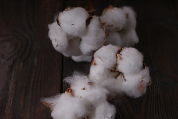  white cotton on wooden table