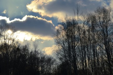 Obraz premium The landscape