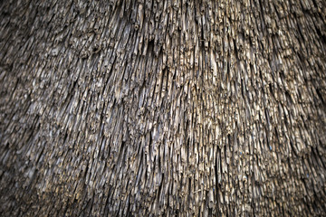 Close up old grass roof texture background