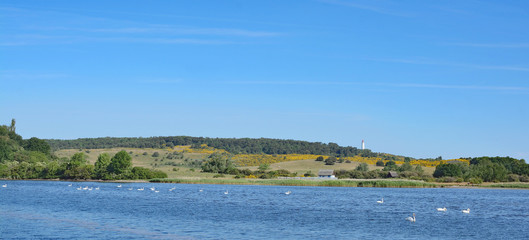 Blick auf den Dornbusch mit dem Leuchtturm auf der Insel Hiddensee,Ostsee,Mecklenburg-Vorpommern,Deutschland