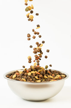 Pet food falls into the bowl for feeding
