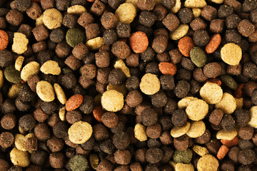Dried pet food for dog or cat background