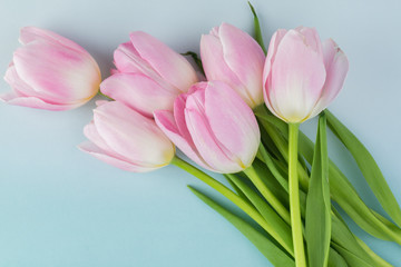 Obraz na płótnie Canvas Gorgeous tulips for holidays.