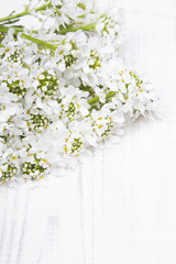 white flowers frame on white wooden background
