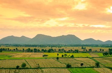 Rice field with mountain in sunset time.