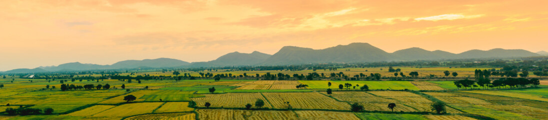 Fototapeta na wymiar Rice field with mountain in sunset time.