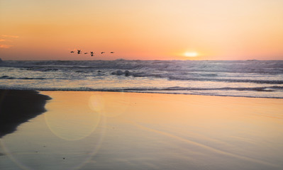 the landscape sea waves