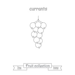 Line currants icon, fruit icon collection stock vector illustration