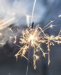 Obraz premium Sparkler lit in celebration
