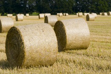 straw bales