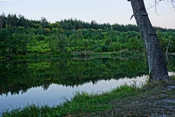 Fototapeta premium Лесное озеро