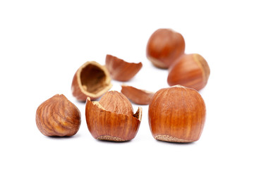 Group fresh hazelnuts isolated on white background