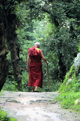 A tibetan buddhist on the path