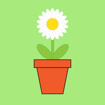 Simple flat white flower in pot illustration, green background