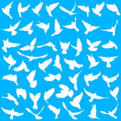 Concept of love or peace. Set silhouettes doves. Vector illustration