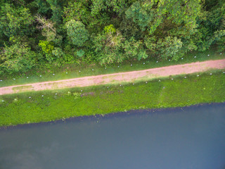 Aerial top view of beautiful park