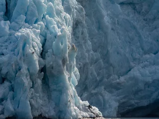 Papier Peint photo Lavable Glaciers Face en ruine du glacier de marée