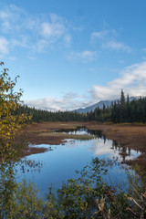 Obraz premium Alpine pond reflects the sky