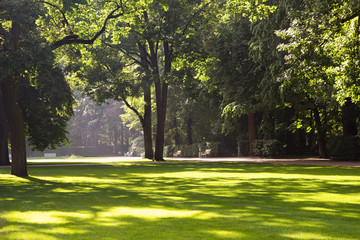 summer park landscape