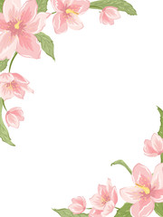 Obraz premium Szablon ramki rogu z ciemiernika Sakura magnolia kwiaty na białym tle. Pionowa orientacja pionowa. Wektor wzór kwiatowy element girlandy do dekoracji, karty, zaproszenia.