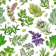 Fototapety  Wektor wzór zieleni z przyprawami i ziołami. Dekoracyjna kolorowa kompozycja na białym tle