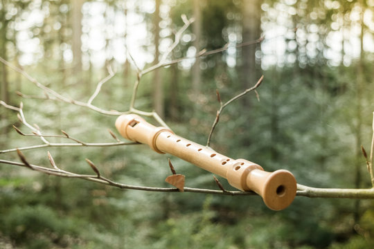 flute on a branch