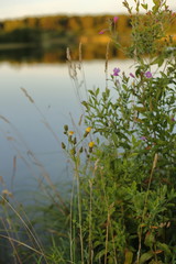 Obraz na płótnie Canvas Lake Saxtorpssjön