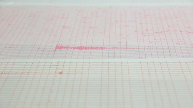 Seismological device for measuring earthquakes. Seismological activity live on the sheet of measuring paper. Earthquake wave on a graph paper. Red and purple lines from seismograph's needles.