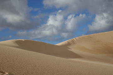 The natural Park in Corralejo the canary-islands Spain