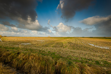 Farm fields in Normandy,France