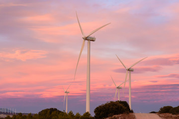 Wind energy park at sunset III
