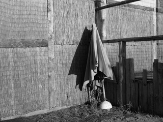 Zusammengeklappter alter Sonnenschirm vor Bastmatten als Sichtschutz am Kreativkai am Hafen von...