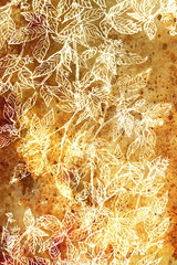 ornamental filigrane leaf structure on abstract background.