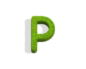 Grass letter P in uppercase format from top angle with shadow on ground.