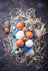 Fototapeta na wymiar Chicken and quail eggs in carton box, Easter concept