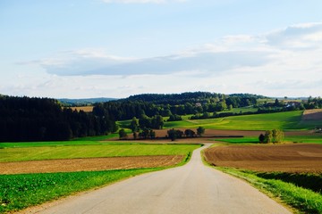Landstraße mit grünen Feldern