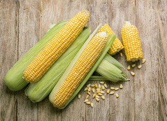 Grains of ripe corn