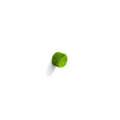 Grass dot punctuation mark from isometric angle with shadow on ground.