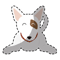Naklejka na ściany i meble bull terrier dog breed icon image sticker vector illustration design 