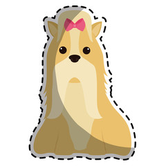 dog breed icon image vector illustration design 