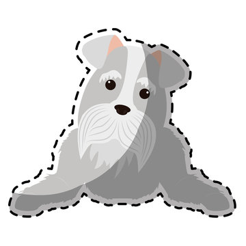 dog breed icon image vector illustration design 