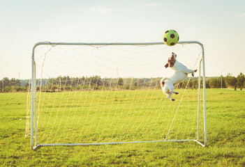 Funny goalkeeper jumping and catching football (soccer) ball (photo filter effect)