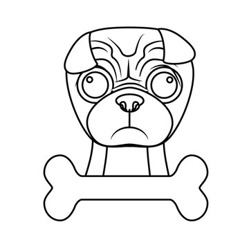 pug dog breed emblem  icon image vector illustration design 