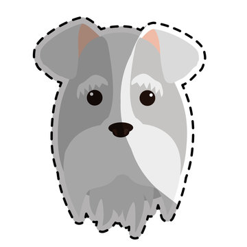 pedigree dog breed icon image sticker  vector illustration design 