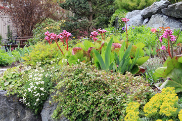 Spring flower garden