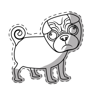 pug dog breed icon image sticker vector illustration design 